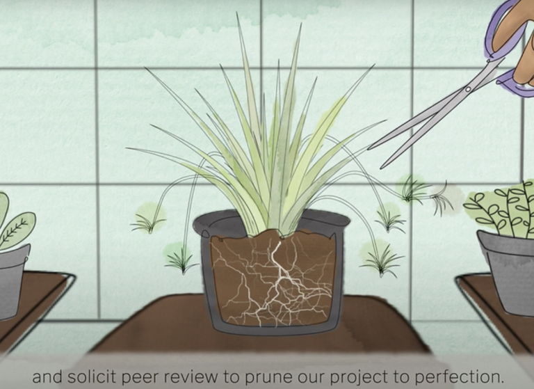 Greenhouse Studios Brand